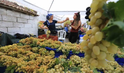Selçuk Gökçealan üzüm şenliğine hazırlanıyor
