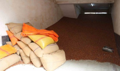 Serbest piyasada fındık 100 TLye ulaştı