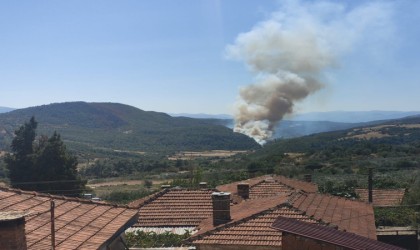 Somada orman yangını