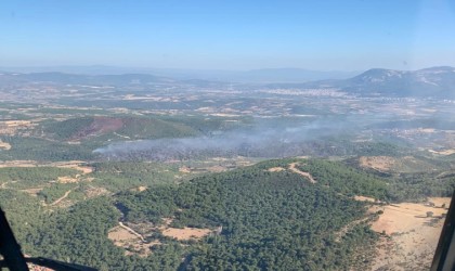 Somadaki orman yangınını söndürme çalışmaları devam ediyor