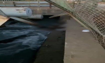 Sulama kanalında ceset bulundu