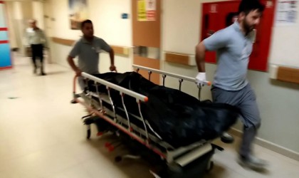 Tarlada çalışırken arının soktuğu kadın hayatını kaybetti