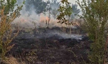 Tatvanda örtü yangını