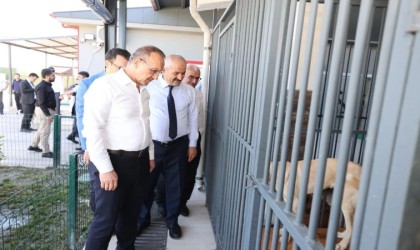 Vali Yavuz Gebzedeki projeleri inceledi