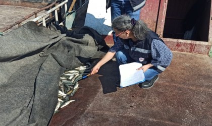 Vanda su ürünleri denetimi yapıldı