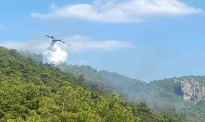 Yangına 2 helikopter ve 4 uçakla müdahale ediliyor