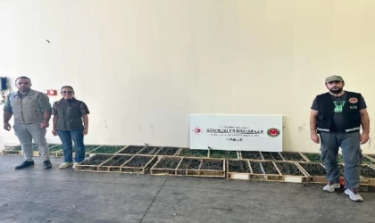 Yasa dışı yollarla bin 600 saka kuşu getiren 2 şüpheliye, 2 milyon 292 bin TL ceza