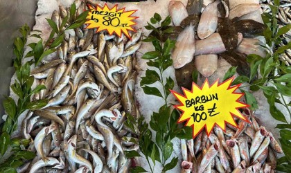 150 liraya kadar çıkan hamsi, 50 liraya düştü