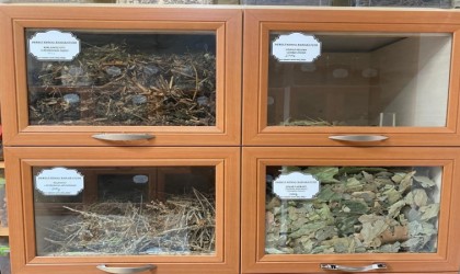 43 yıllık aktardan kış çayı önerisi