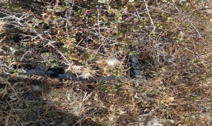 Afganistan uyruklu çobanın cinayet şüphelisi yakalandı