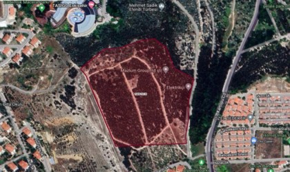 Ağaç katliamı iddialarıyla ilgili açıklama