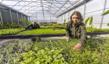 Ağrıda domates, Vanda muz, Erzurumda çilek imkansız değil