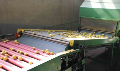 Almanyanın limonu Kozandan