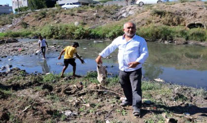 At kemikleri, ölü hayvanlar ve lağım suyu arasında kurbağa avı