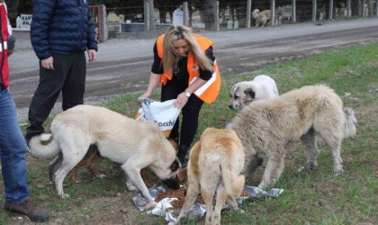 Atakum Belediyesinden patili dostlara 32 ton mama desteği