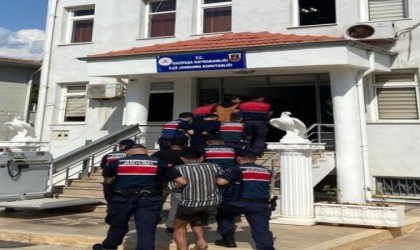 Avokado hırsızları yakalandı