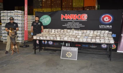 Bakan Yerlikaya: Mersin Limanı’nda 610 kilo kokain ele geçirildi/ Ek fotoğraflar