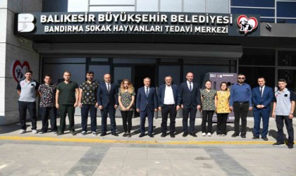 Bandırmada yüzlerce sokak hayvanına şifa oldu