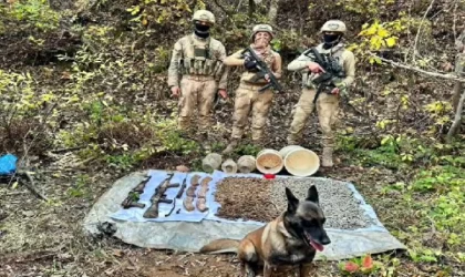 Bitlis kırsalında toprağa gömülü silah ve mühimmat ele geçirildi
