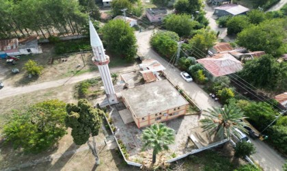 Cami avlusundaki hurmalar toplandı