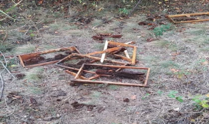 Çankırı’da köye inen ayı, arı kovanlarını parçaladı