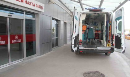 Ceviz ağacından düşen adam yaralandı