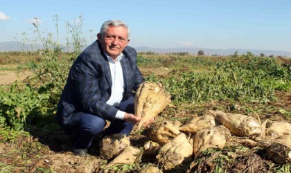 Çiftçi pancar şekeri fiyatından memnun değil