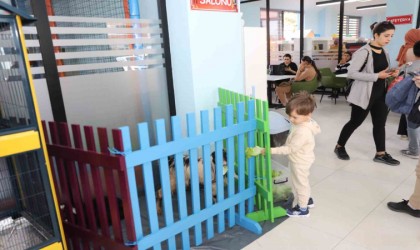 Çocuk Kütüphanesinde Hayvanları Koruma Farkındalığı Etkinliği