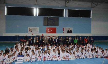 Cumhuriyetin 100. yılında Tosyada 210 sporcunun katılımı ile Bölgesel Tekvando Turnuvası düzenlendi