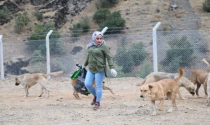 Depremde ölen Eda öğretmenin baktığı sokak köpeklerini kuaför Fadime besliyor