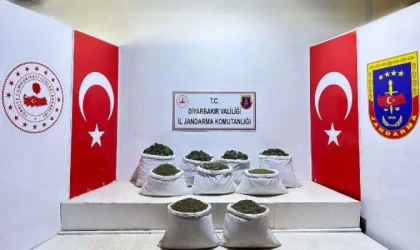 Diyarbakır’da 350 bin 620 kök Hint keneviri ve skunk bitkisi, 121 kilo esrar ele geçirildi