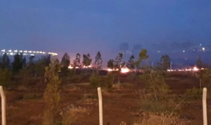 Diyarbakır’da Şehir Ormanı bitişiğinde yangın; itfaiye önce su sonra kürekle müdahale 