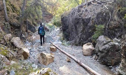 Domaniçte kaybolan yaşlı adam için arama çalışması