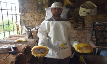 Dünyaca ünlü Bitlis kara kovan balının hasadına başlandı