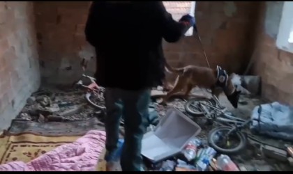 Düzcede polisten uyuşturucu operasyonu