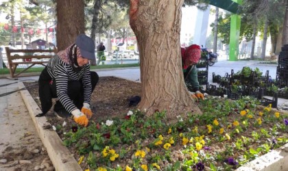 Ereğli Belediyesi çevre düzenleme çalışmalarını sürdürüyor
