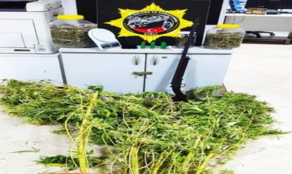 Evlerinde uyuşturucu yetiştirip satan baba-oğul, polisin takibinden kaçamadı