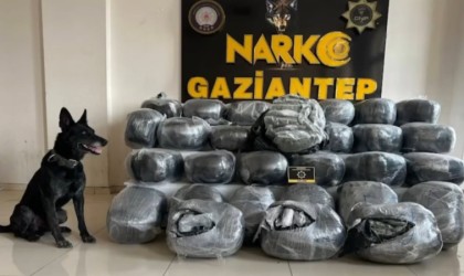 Gaziantepte zehir tacirlerine büyük darbe