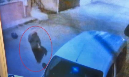 Hafif ticari araçta bırakılan dolar dolu çantayı çaldı; o anlar kamerada