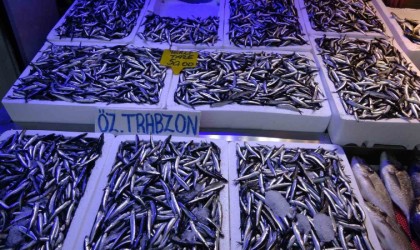 Hamside son yılların en bereketli sezonu