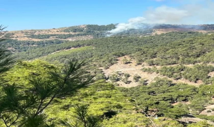 İzmir’de orman yangını