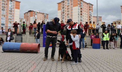 Jandarmadan öğrencilere ‘hayvan hakları ve ‘trafik eğitimi