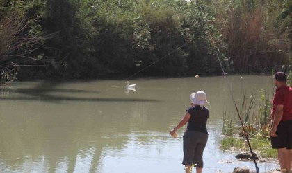 Kamışlık alanda mahsur kalan yaralı ördek, itfaiyeyi alarma geçirdi