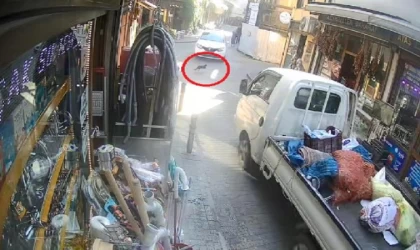 Kamyonetiyle ters yöne giren sürücü, sokak kedisini ezip yoluna devam etti