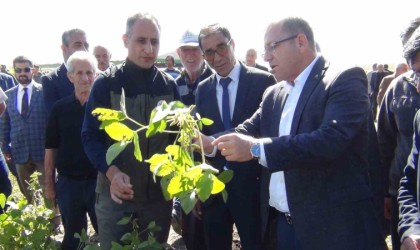 Karsta ilkkez ekilen soya fasulyesi hasadı yapıldı