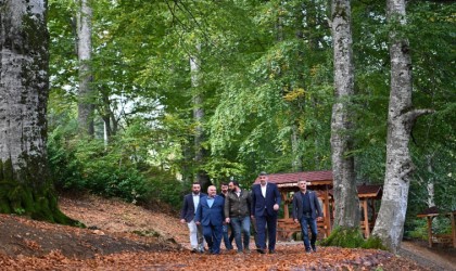 Kartepeye yeni mesire alanı