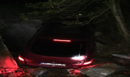 Kayganlaşan yolda otomobil, kontrolden çıkarak şarampole devrildi