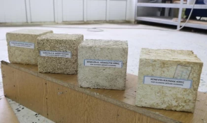 Kenevir sapından yapı malzemesi üretildi