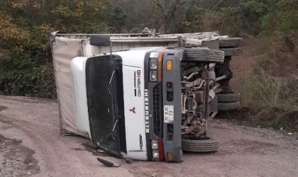 Kereste yüklü kamyon devrildi