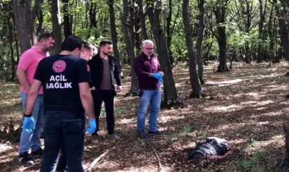 Koli bantlarıyla bağlanmış poşette ölü köpek bulundu